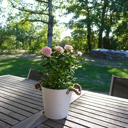 Le Bleu 17 Casa vacanze *