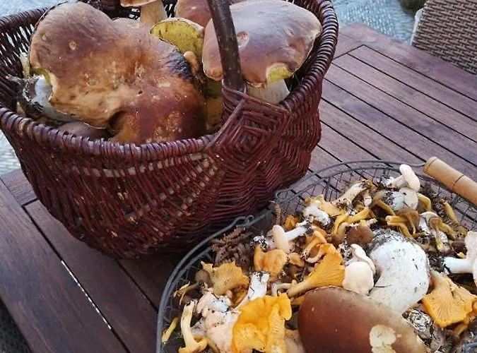 Le Bleu 17 Semesterbostad